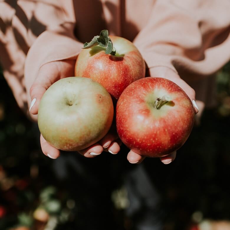 Wofür ist Apfelessig gut - frische Äpfel in Händen